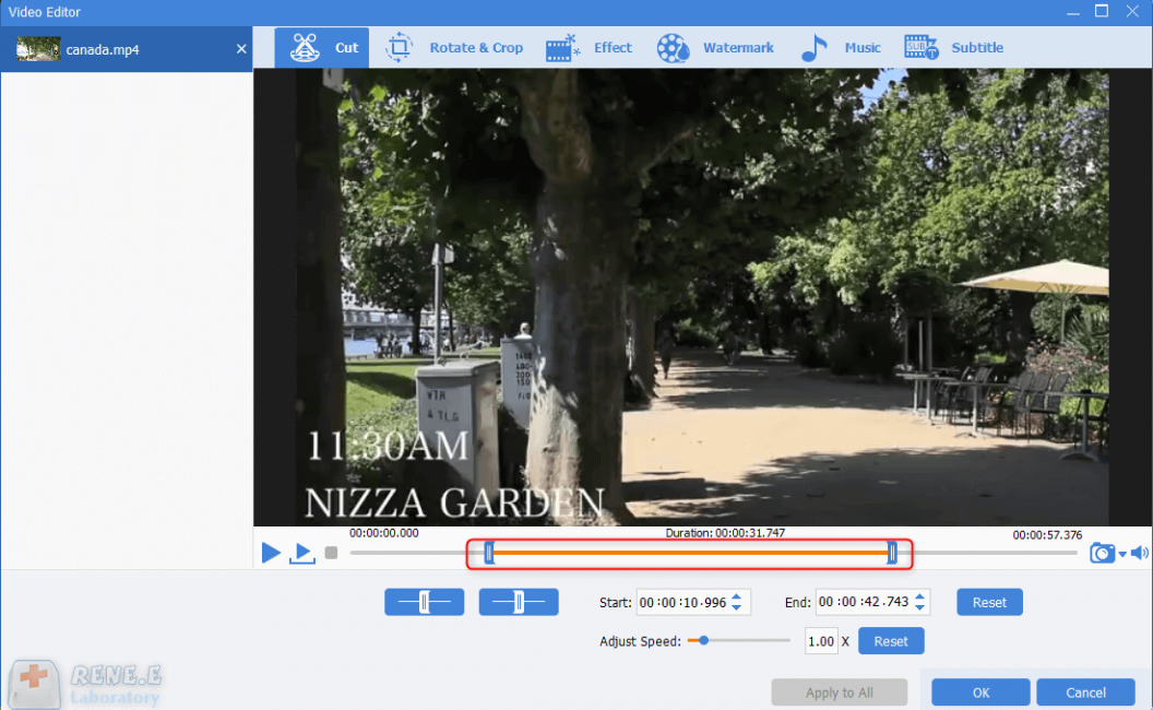 cut video with renee video editor pro