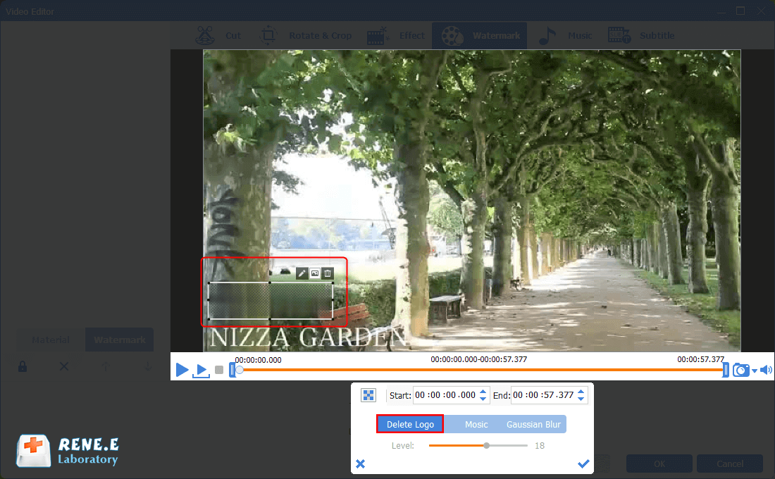 How to remove watermark from a mp4 video in renee video editor pro