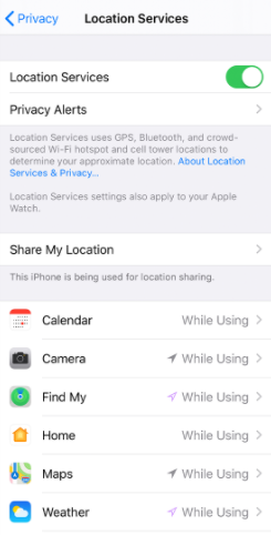 check the location function in iphone location services