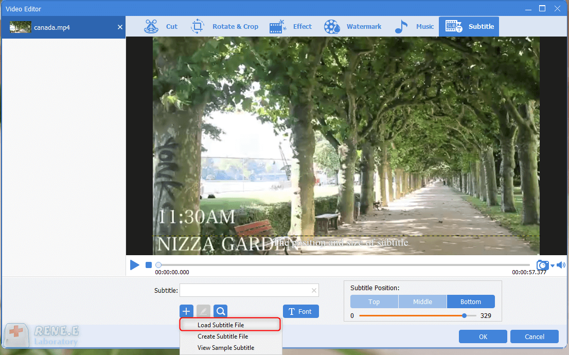 load the subtitle file in renee video editor pro