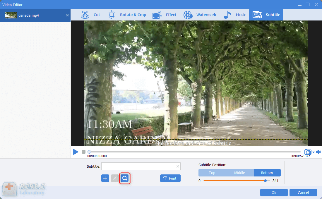 search online subtitles by renee video editor pro