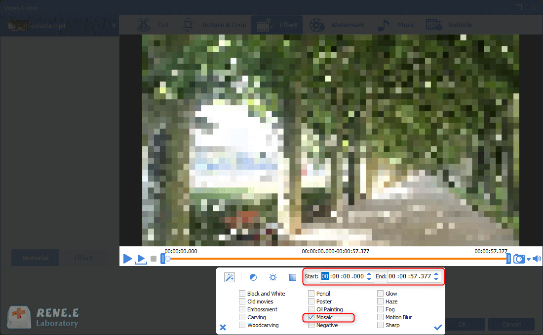 select to add mosaic filter to a video in renee video editor pro