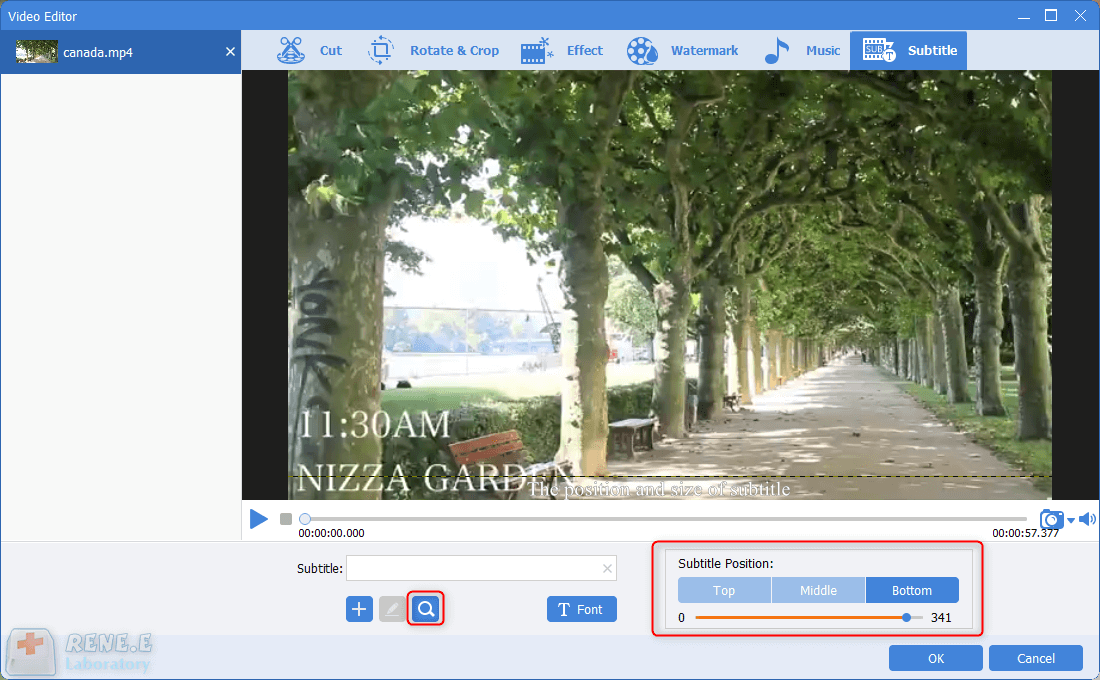 adjust subtitle styles in renee videp editor pro