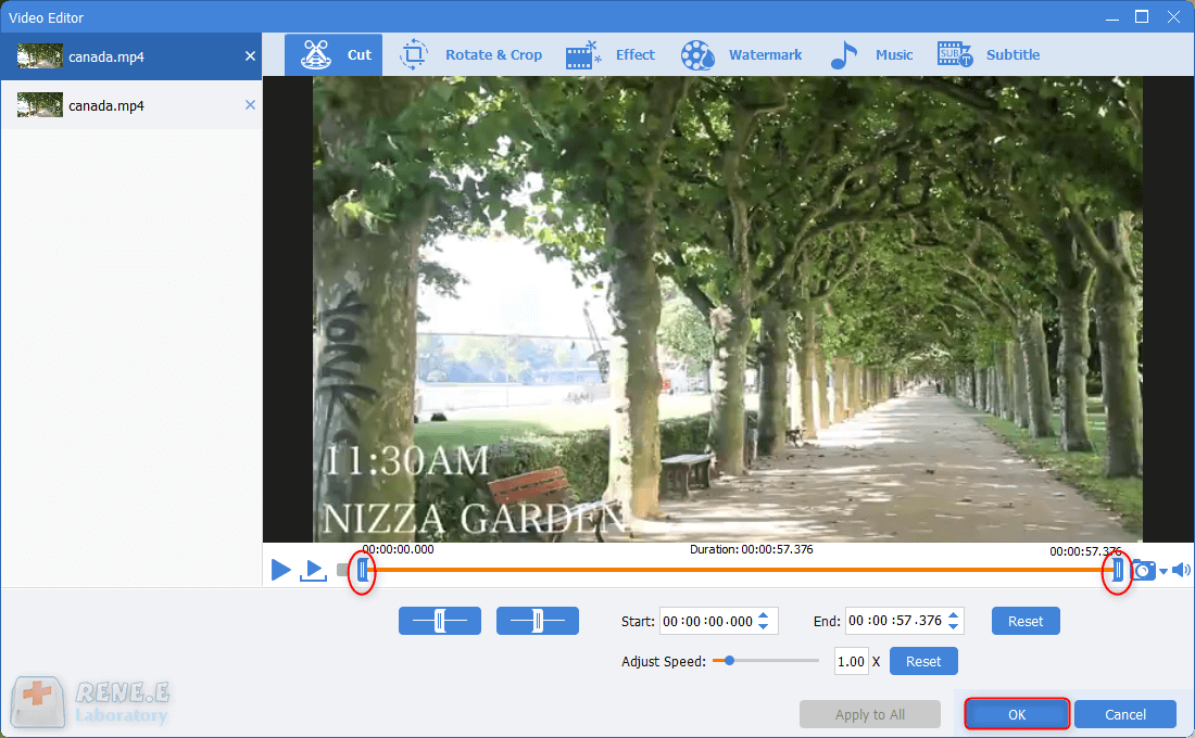 cut clips out of videos in renee video editor pro