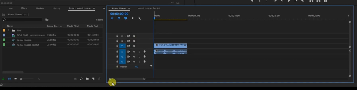 how to remove watermark with adobe premiere