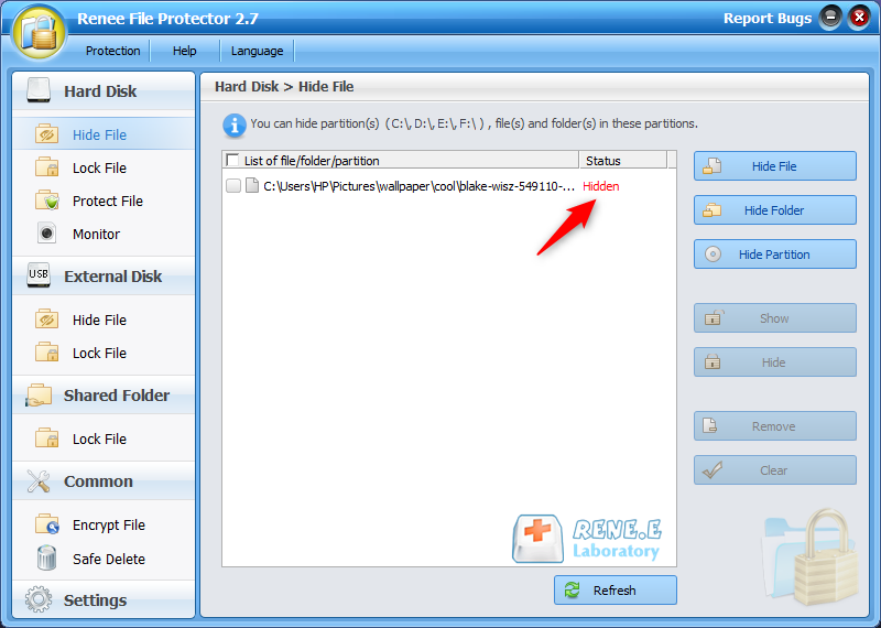 check the hidden file in renee file protector