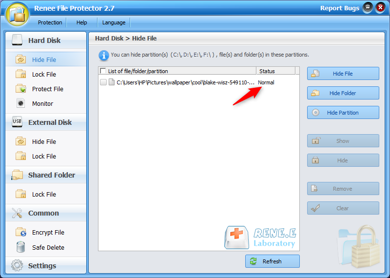 show the hidden files in renee file protector