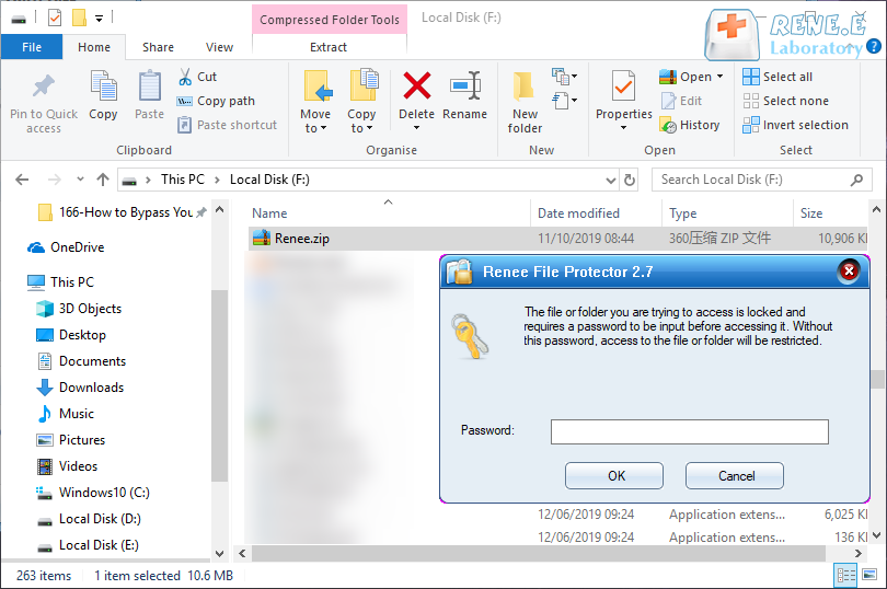 enter password to open the encrypted zip file in renee file protector
