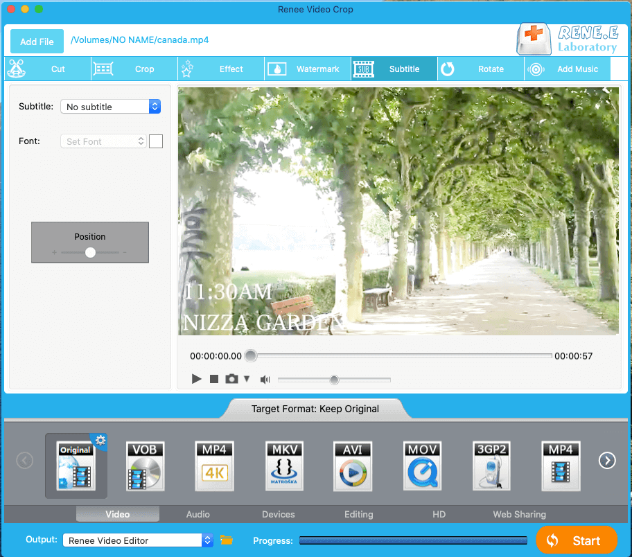 add subtitles to video with renee video editor