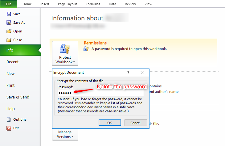 how to remove password from excel