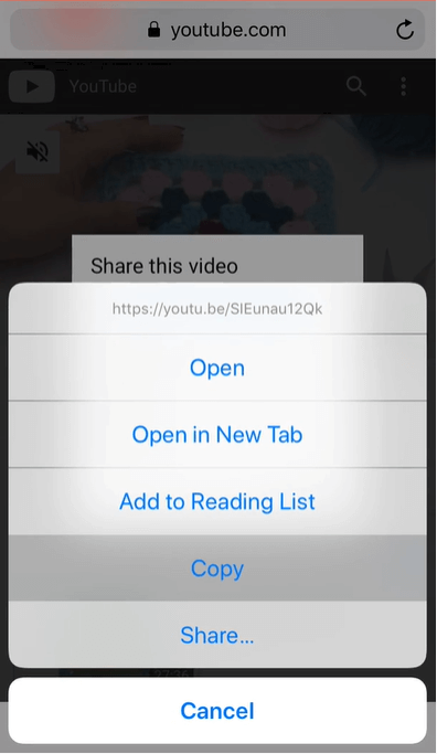 copy the url and then paste to video saver
