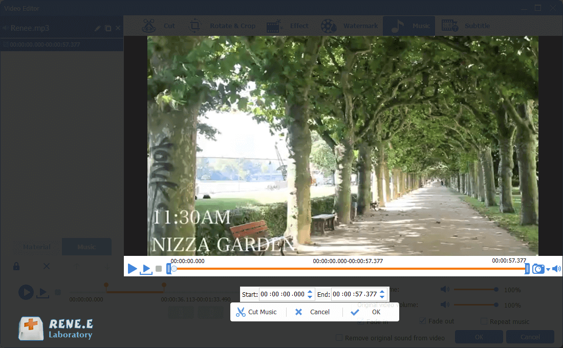 cut background music with renee video editor pro