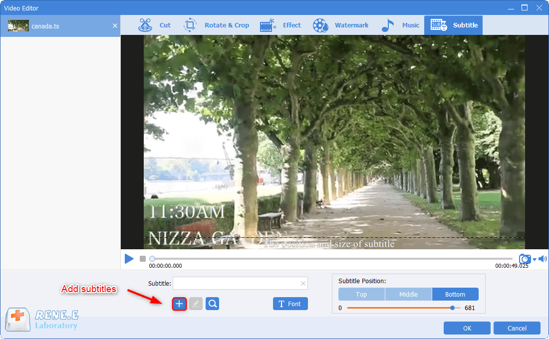 add subtitles to ts files in renee video editor pro