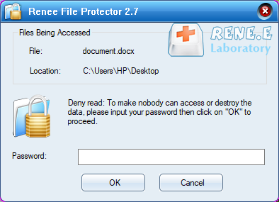 set a password to lock file with renee file protector