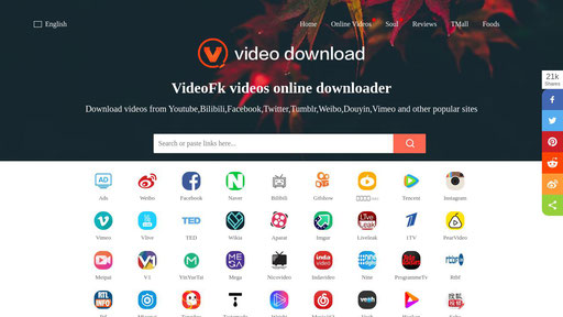download video from videofk online