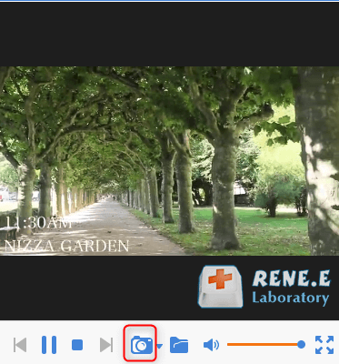 make screenshots with renee video editor pro