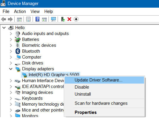 display adapters - Update drivers