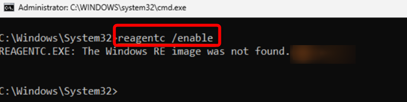 reagentc enable command