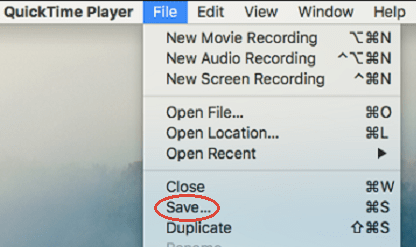 save the recording file