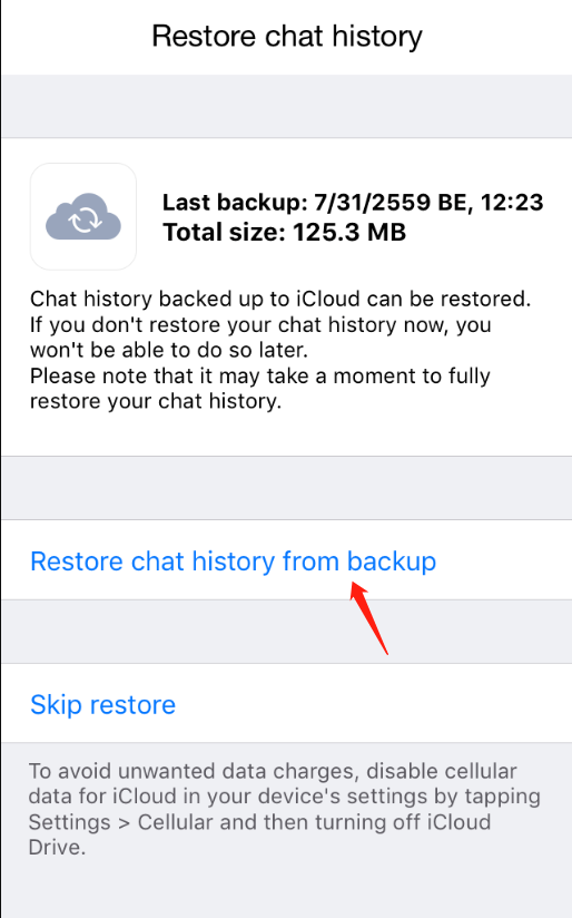 restore chat history from backup