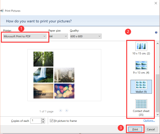 print Windows photo to pdf