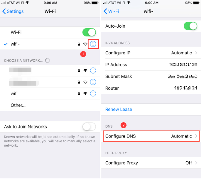 iPhone Configure Wifi DNS