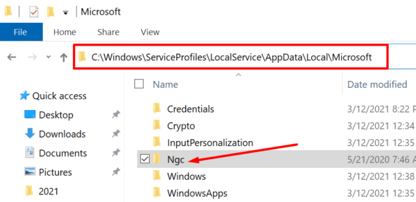 ngc folder in Windows