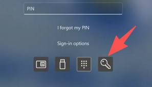 use password option to login instead.